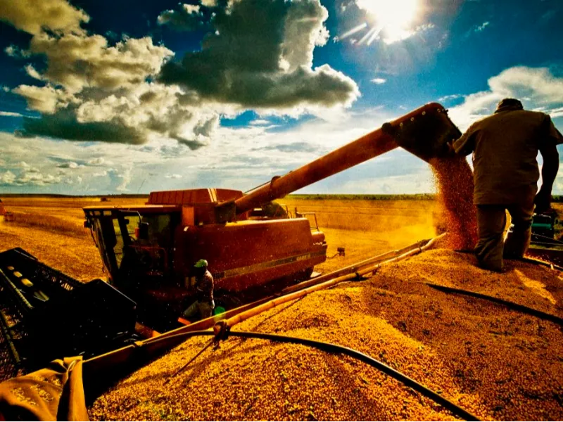 EM AJUSTES, AÇÚCAR OPERA COM ALTA FORTE NAS BOLSAS DE NY E LONDRES NESTA 2ª FEIRA