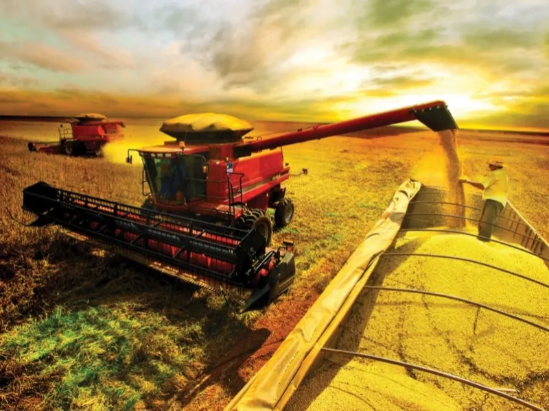 EM AJUSTES, AÇÚCAR OPERA COM ALTA FORTE NAS BOLSAS DE NY E LONDRES NESTA 2ª FEIRA