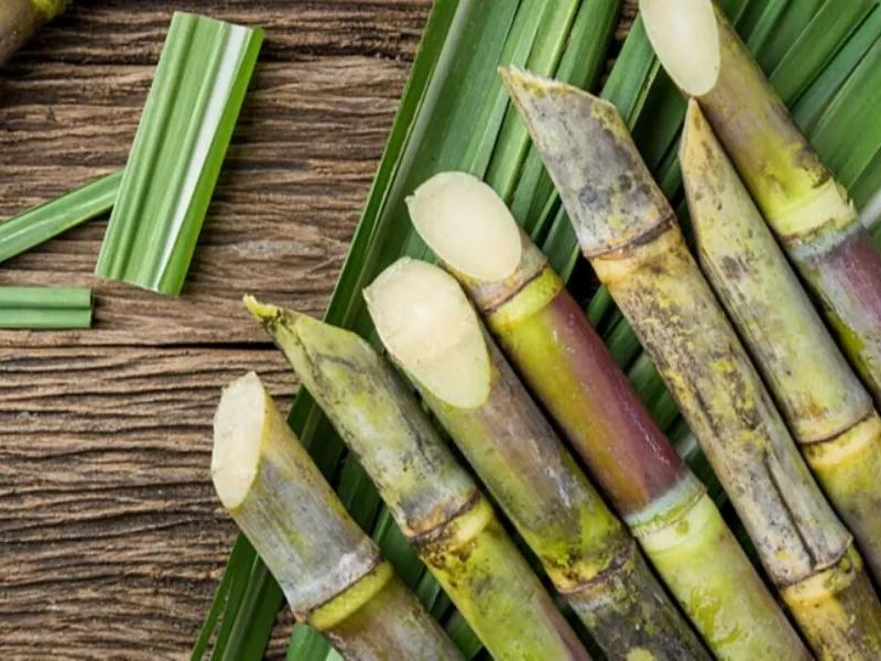 EM AJUSTES, AÇÚCAR OPERA COM ALTA FORTE NAS BOLSAS DE NY E LONDRES NESTA 2ª FEIRA