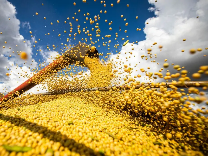 EM AJUSTES, AÇÚCAR OPERA COM ALTA FORTE NAS BOLSAS DE NY E LONDRES NESTA 2ª FEIRA