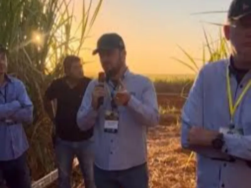 EM AJUSTES, AÇÚCAR OPERA COM ALTA FORTE NAS BOLSAS DE NY E LONDRES NESTA 2ª FEIRA