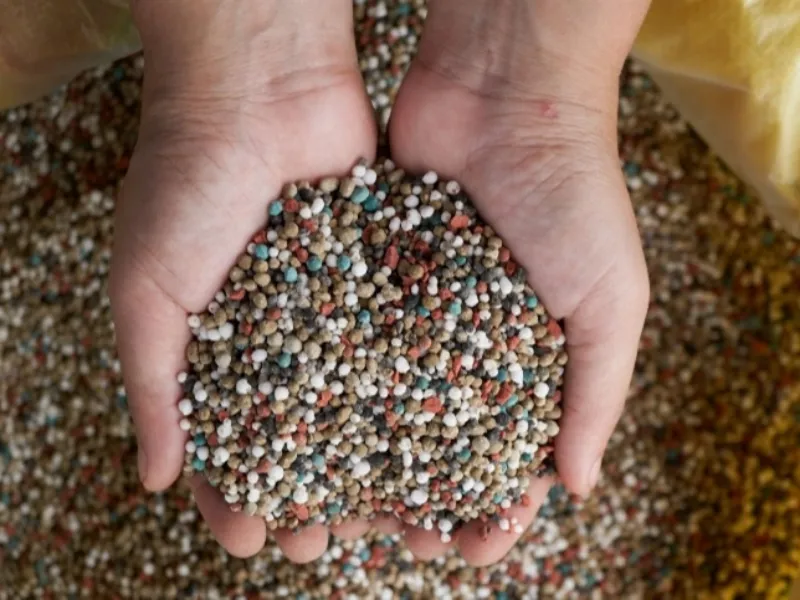 EM AJUSTES, AÇÚCAR OPERA COM ALTA FORTE NAS BOLSAS DE NY E LONDRES NESTA 2ª FEIRA