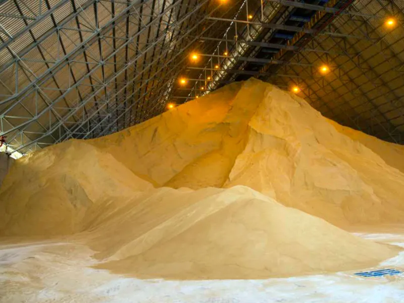 EM AJUSTES, AÇÚCAR OPERA COM ALTA FORTE NAS BOLSAS DE NY E LONDRES NESTA 2ª FEIRA