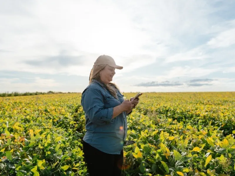 EM AJUSTES, AÇÚCAR OPERA COM ALTA FORTE NAS BOLSAS DE NY E LONDRES NESTA 2ª FEIRA