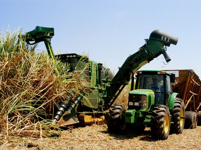 EM AJUSTES, AÇÚCAR OPERA COM ALTA FORTE NAS BOLSAS DE NY E LONDRES NESTA 2ª FEIRA