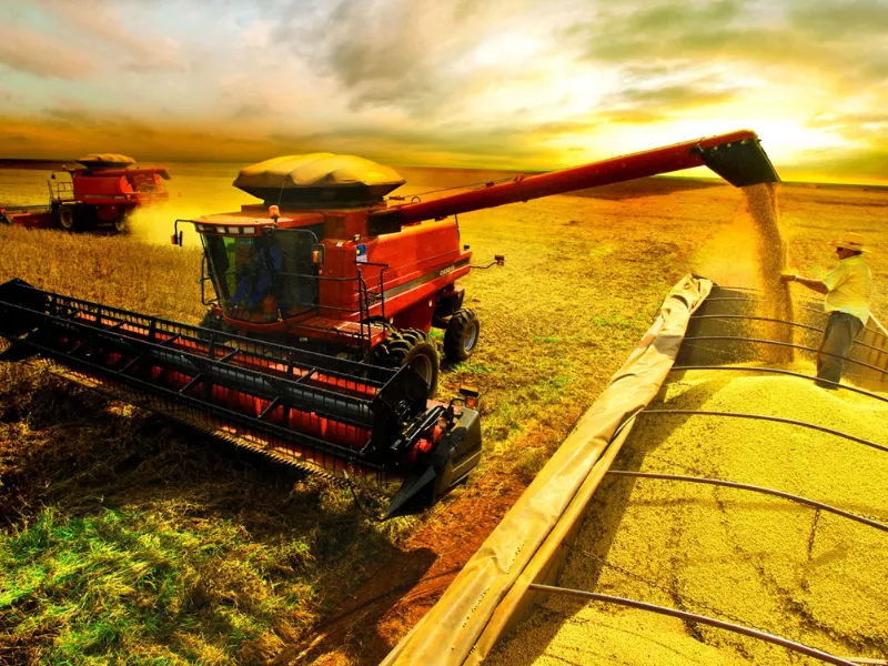 EM AJUSTES, AÇÚCAR OPERA COM ALTA FORTE NAS BOLSAS DE NY E LONDRES NESTA 2ª FEIRA