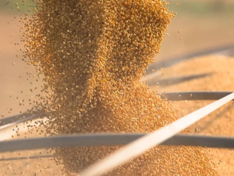 EM AJUSTES, AÇÚCAR OPERA COM ALTA FORTE NAS BOLSAS DE NY E LONDRES NESTA 2ª FEIRA