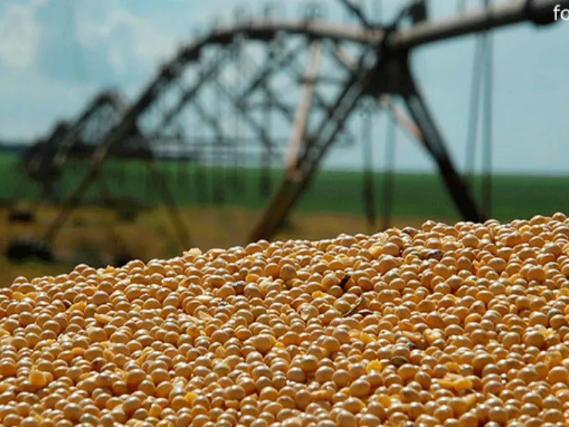 EM AJUSTES, AÇÚCAR OPERA COM ALTA FORTE NAS BOLSAS DE NY E LONDRES NESTA 2ª FEIRA