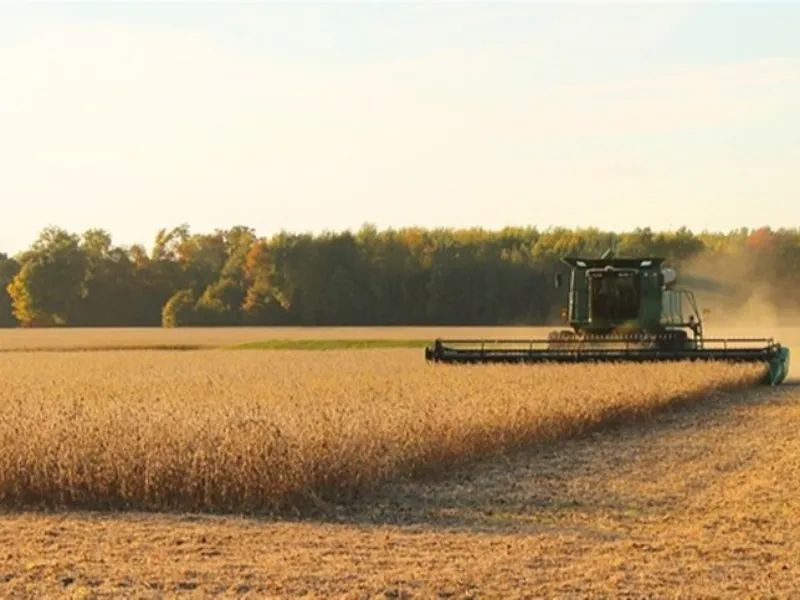 EM AJUSTES, AÇÚCAR OPERA COM ALTA FORTE NAS BOLSAS DE NY E LONDRES NESTA 2ª FEIRA