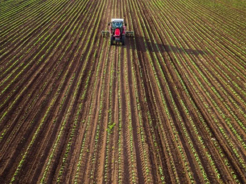 EM AJUSTES, AÇÚCAR OPERA COM ALTA FORTE NAS BOLSAS DE NY E LONDRES NESTA 2ª FEIRA