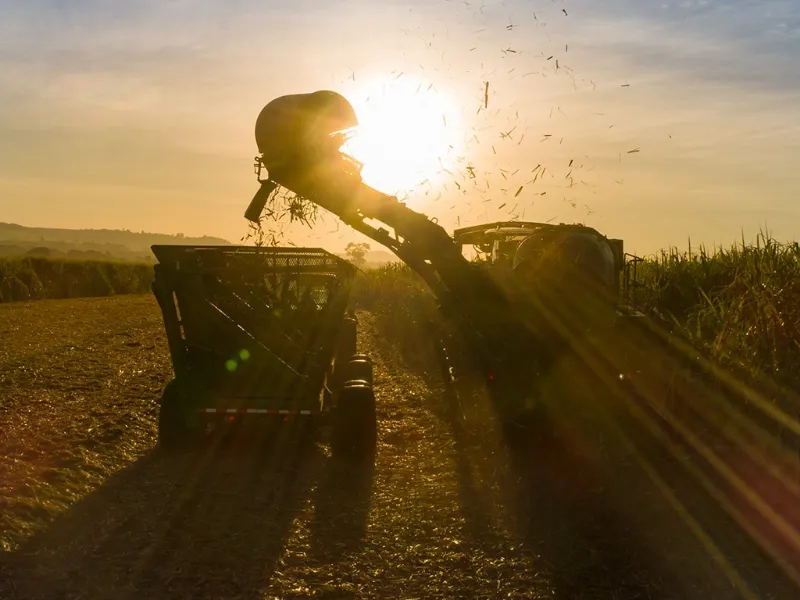 EM AJUSTES, AÇÚCAR OPERA COM ALTA FORTE NAS BOLSAS DE NY E LONDRES NESTA 2ª FEIRA