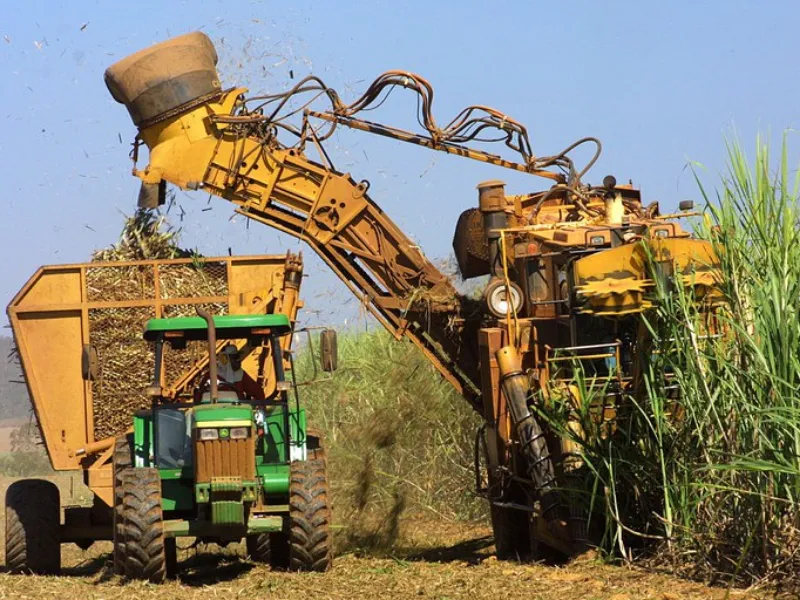 EM AJUSTES, AÇÚCAR OPERA COM ALTA FORTE NAS BOLSAS DE NY E LONDRES NESTA 2ª FEIRA