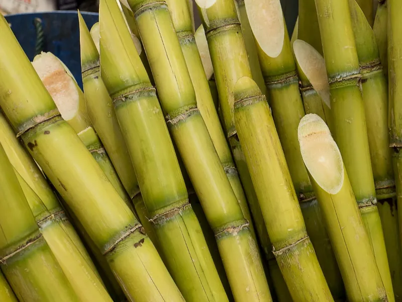 EM AJUSTES, AÇÚCAR OPERA COM ALTA FORTE NAS BOLSAS DE NY E LONDRES NESTA 2ª FEIRA