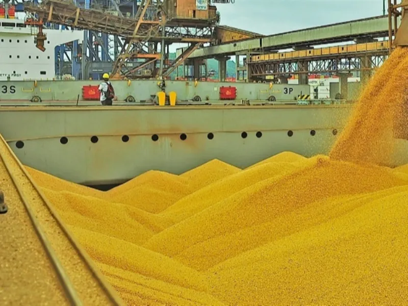 EM AJUSTES, AÇÚCAR OPERA COM ALTA FORTE NAS BOLSAS DE NY E LONDRES NESTA 2ª FEIRA