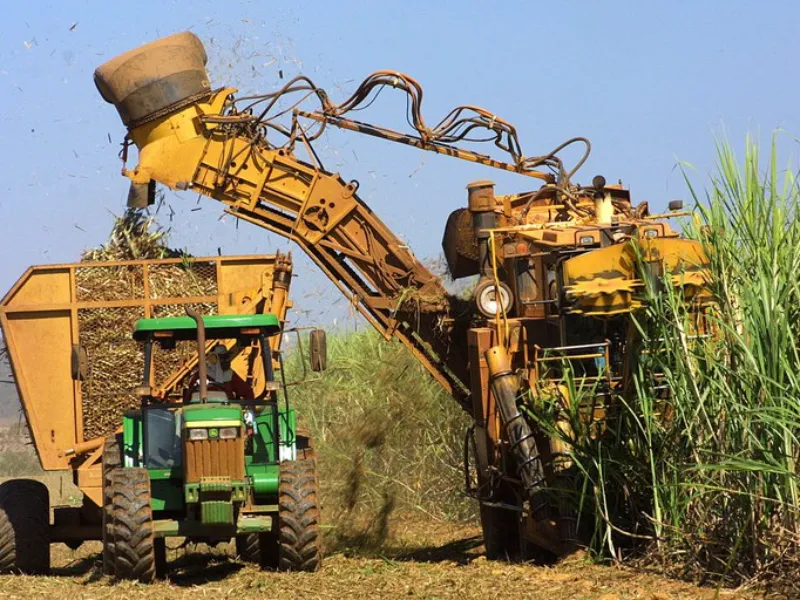 EM AJUSTES, AÇÚCAR OPERA COM ALTA FORTE NAS BOLSAS DE NY E LONDRES NESTA 2ª FEIRA