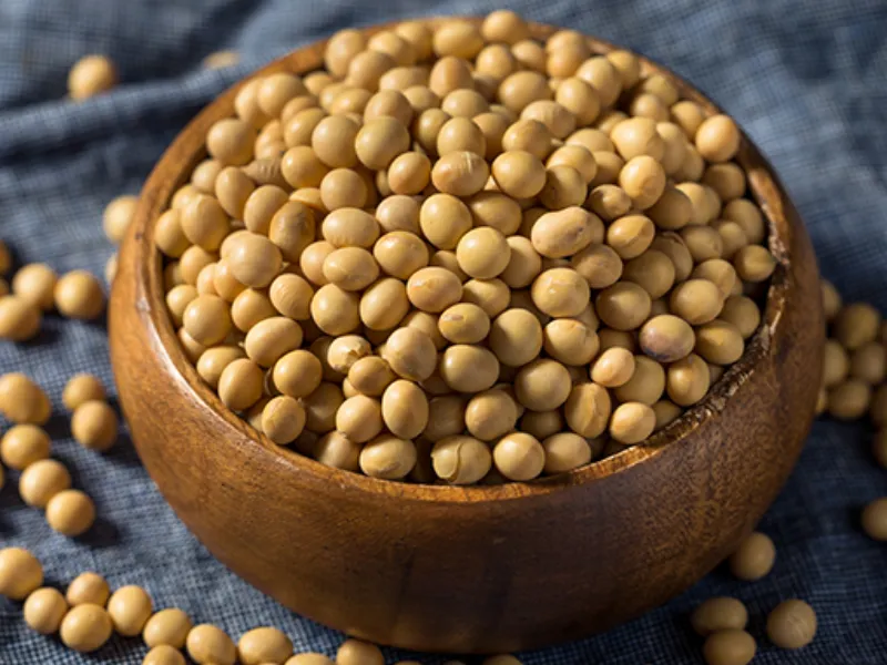 EM AJUSTES, AÇÚCAR OPERA COM ALTA FORTE NAS BOLSAS DE NY E LONDRES NESTA 2ª FEIRA