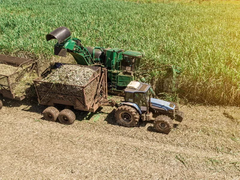 EM AJUSTES, AÇÚCAR OPERA COM ALTA FORTE NAS BOLSAS DE NY E LONDRES NESTA 2ª FEIRA