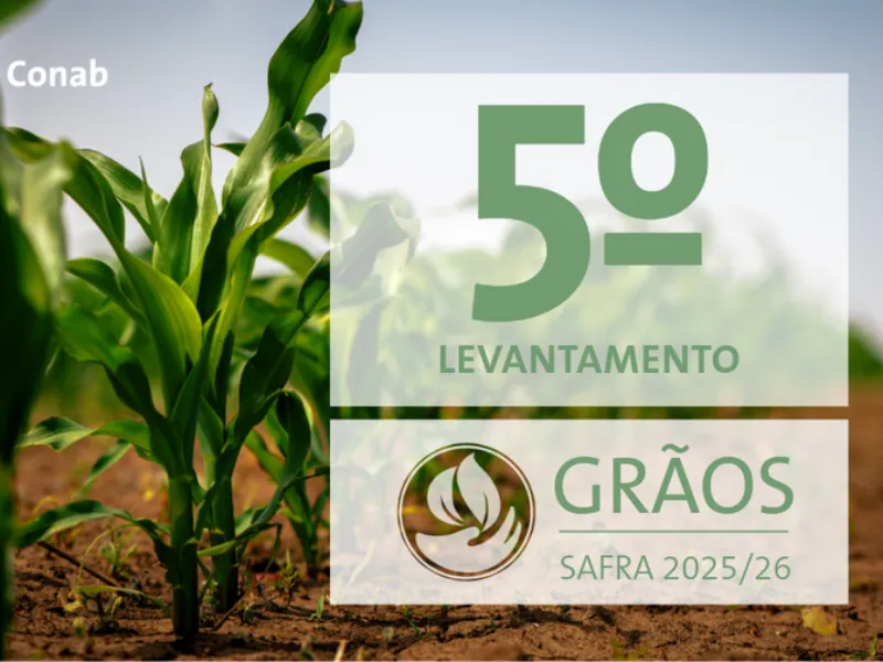 EM AJUSTES, AÇÚCAR OPERA COM ALTA FORTE NAS BOLSAS DE NY E LONDRES NESTA 2ª FEIRA