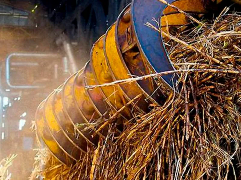 EM AJUSTES, AÇÚCAR OPERA COM ALTA FORTE NAS BOLSAS DE NY E LONDRES NESTA 2ª FEIRA