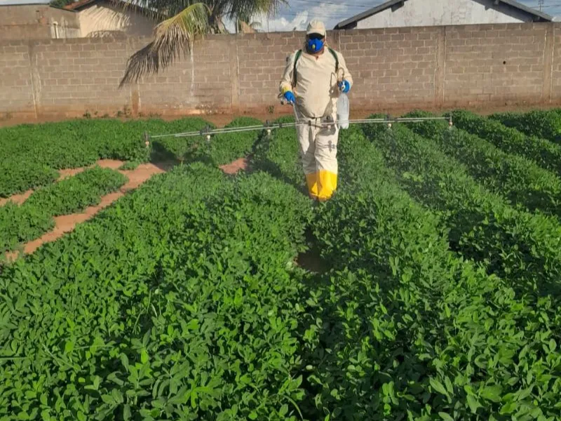 EM AJUSTES, AÇÚCAR OPERA COM ALTA FORTE NAS BOLSAS DE NY E LONDRES NESTA 2ª FEIRA