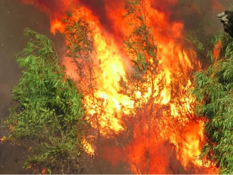 EM AJUSTES, AÇÚCAR OPERA COM ALTA FORTE NAS BOLSAS DE NY E LONDRES NESTA 2ª FEIRA