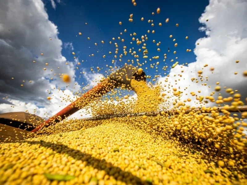 EM AJUSTES, AÇÚCAR OPERA COM ALTA FORTE NAS BOLSAS DE NY E LONDRES NESTA 2ª FEIRA