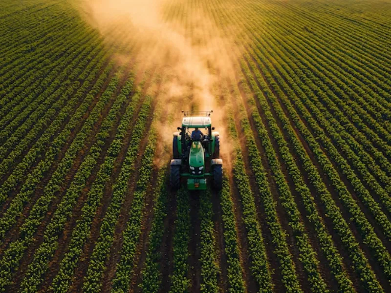 EM AJUSTES, AÇÚCAR OPERA COM ALTA FORTE NAS BOLSAS DE NY E LONDRES NESTA 2ª FEIRA